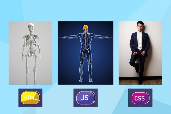 HTML vs CSS vs JavaScript