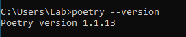 python poetry version