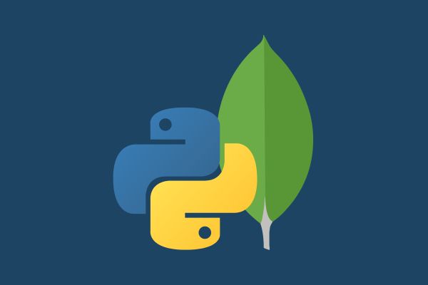How to Use Python with MongoDB Tutorial